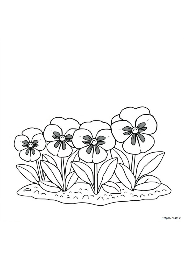 Pansy Coloring Page