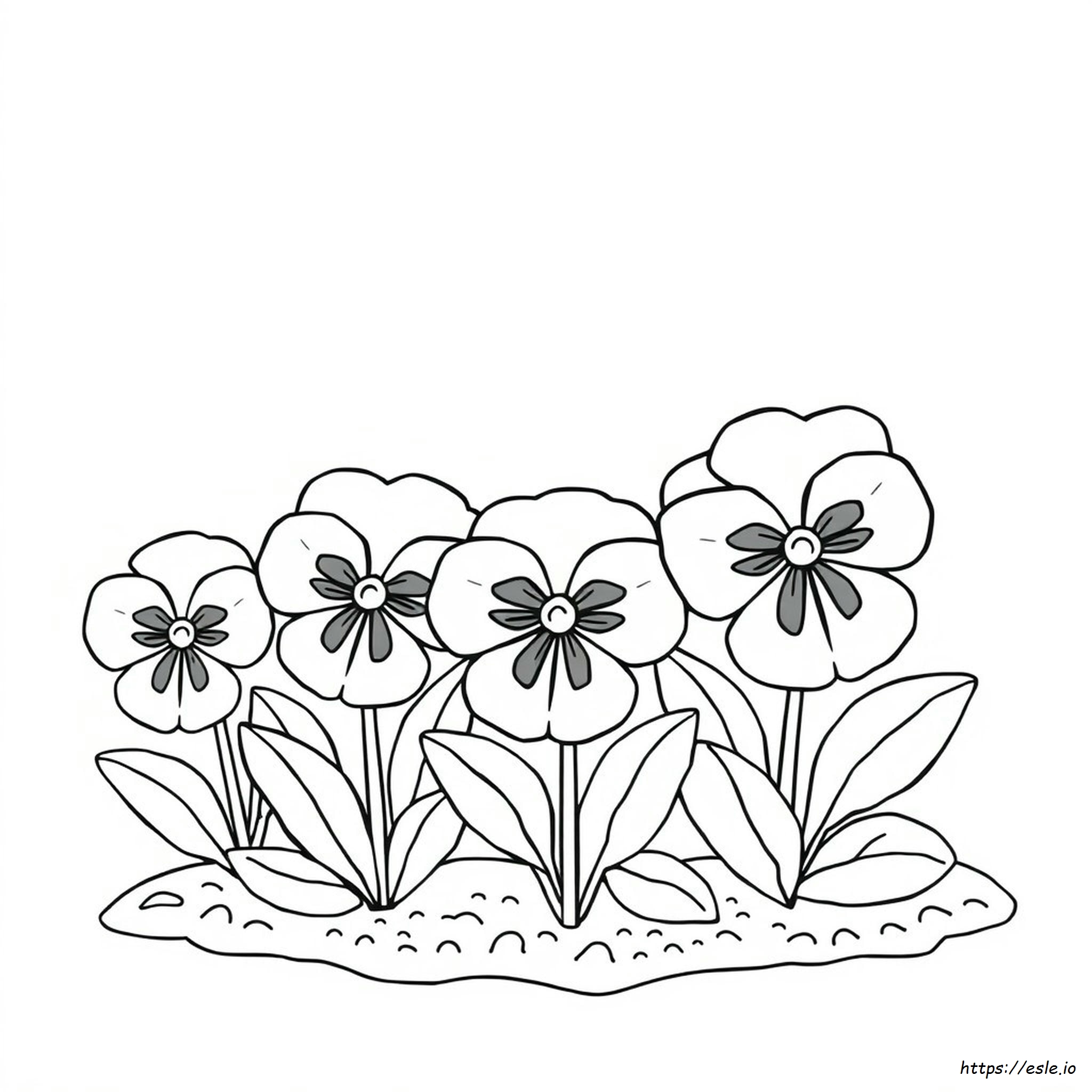 Pansy Coloring Page