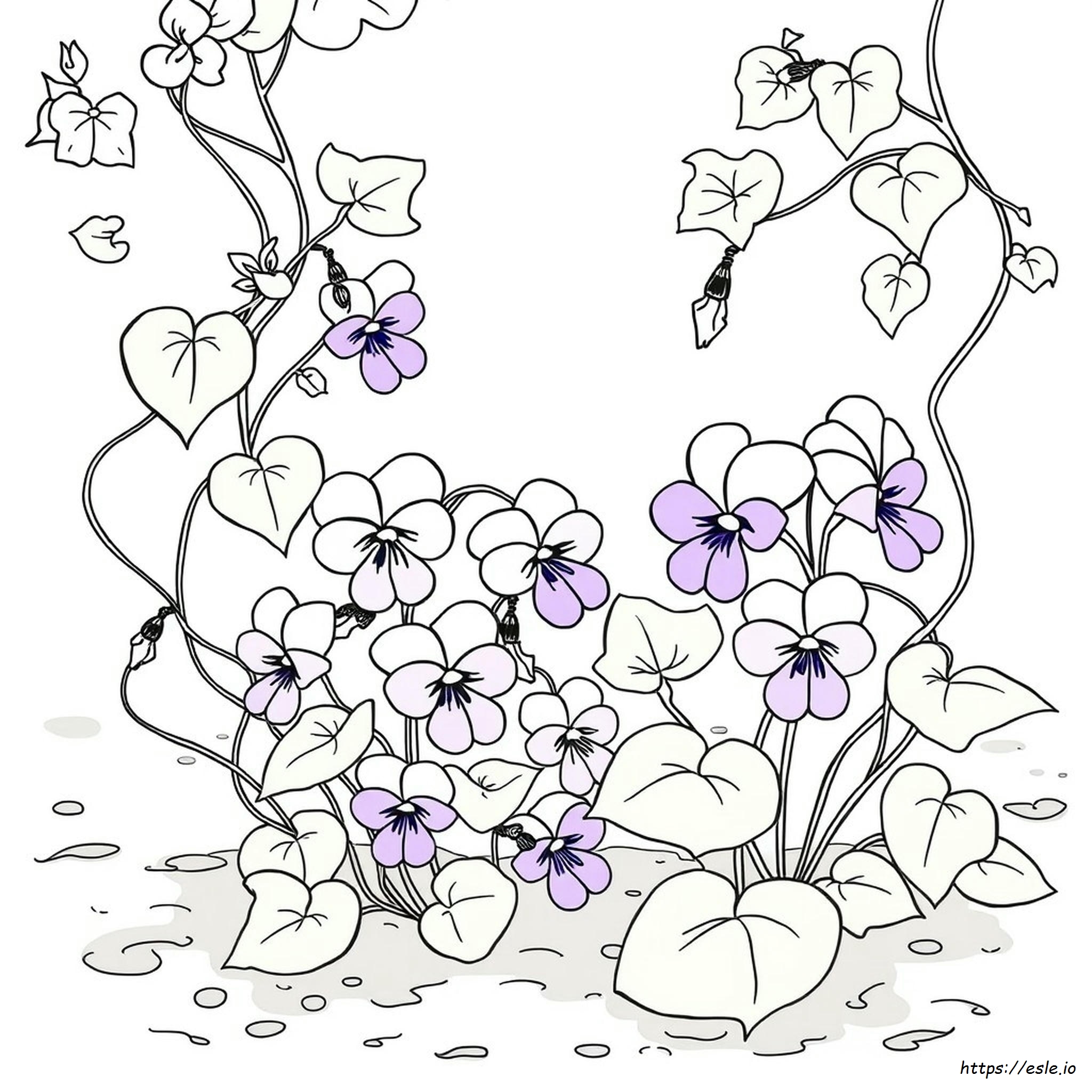 Violet Flower Coloring Page