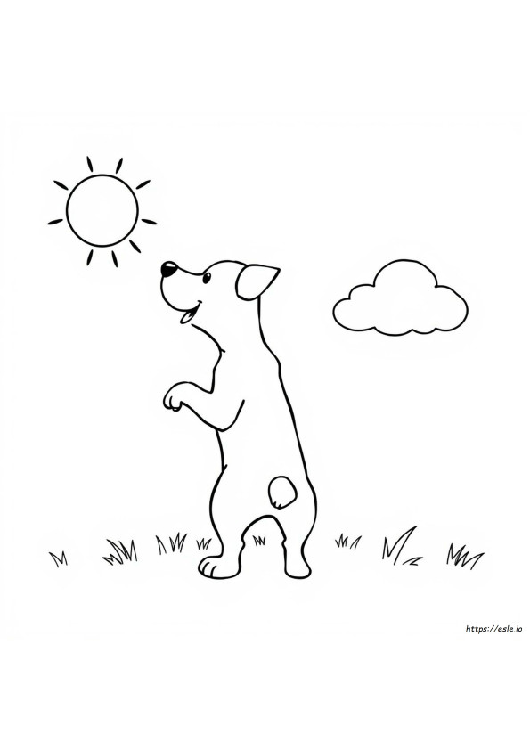 Dog Coloring Pictures Printable