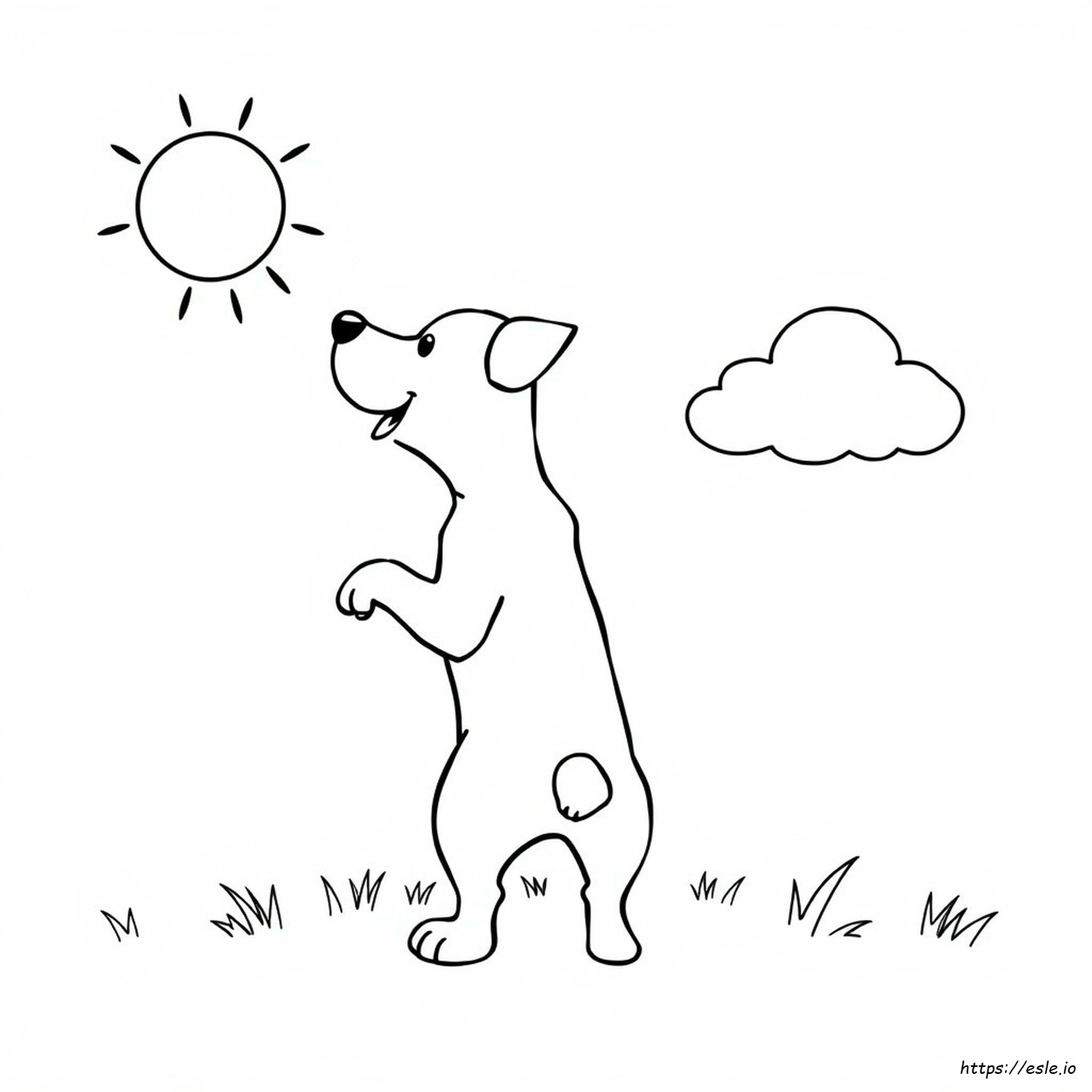 Dog Coloring Pictures Printable