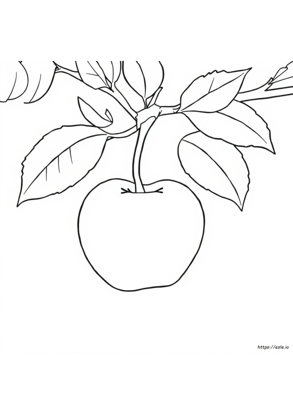 A Apple Coloring
