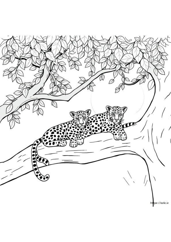 Kostenlose Leopard Ausmalbilder Zum Ausdrucken