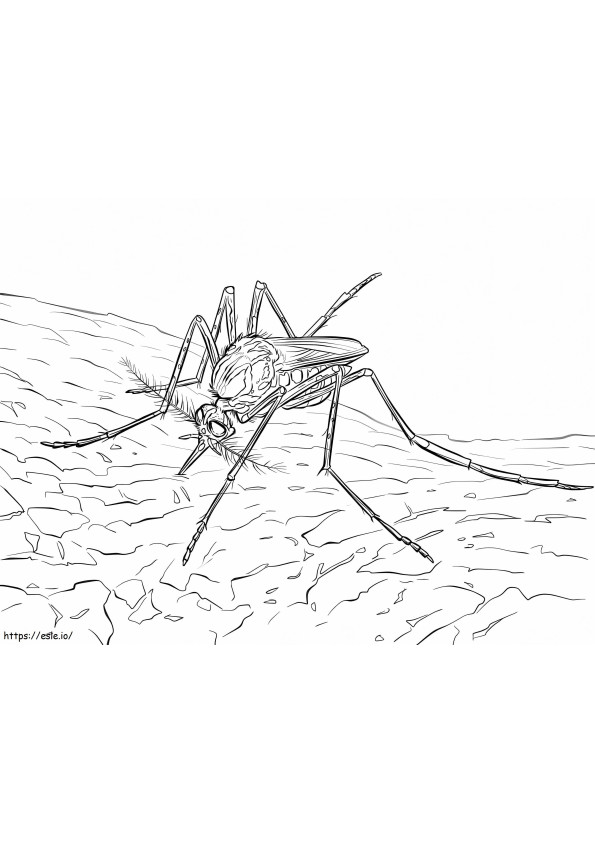 Yellow Fever Mosquito coloring page