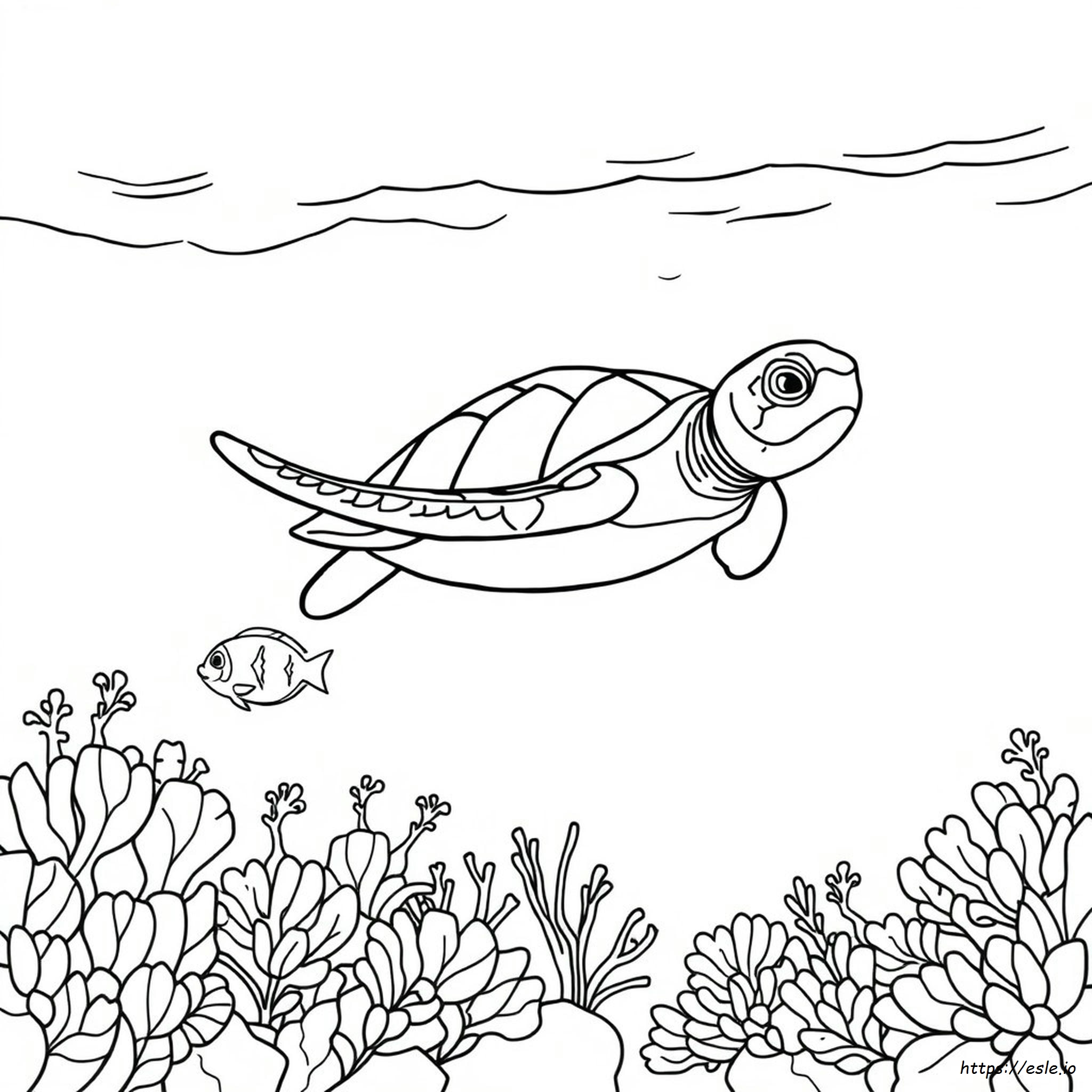 Mondo Marino Disegni Da Colorare Gratis