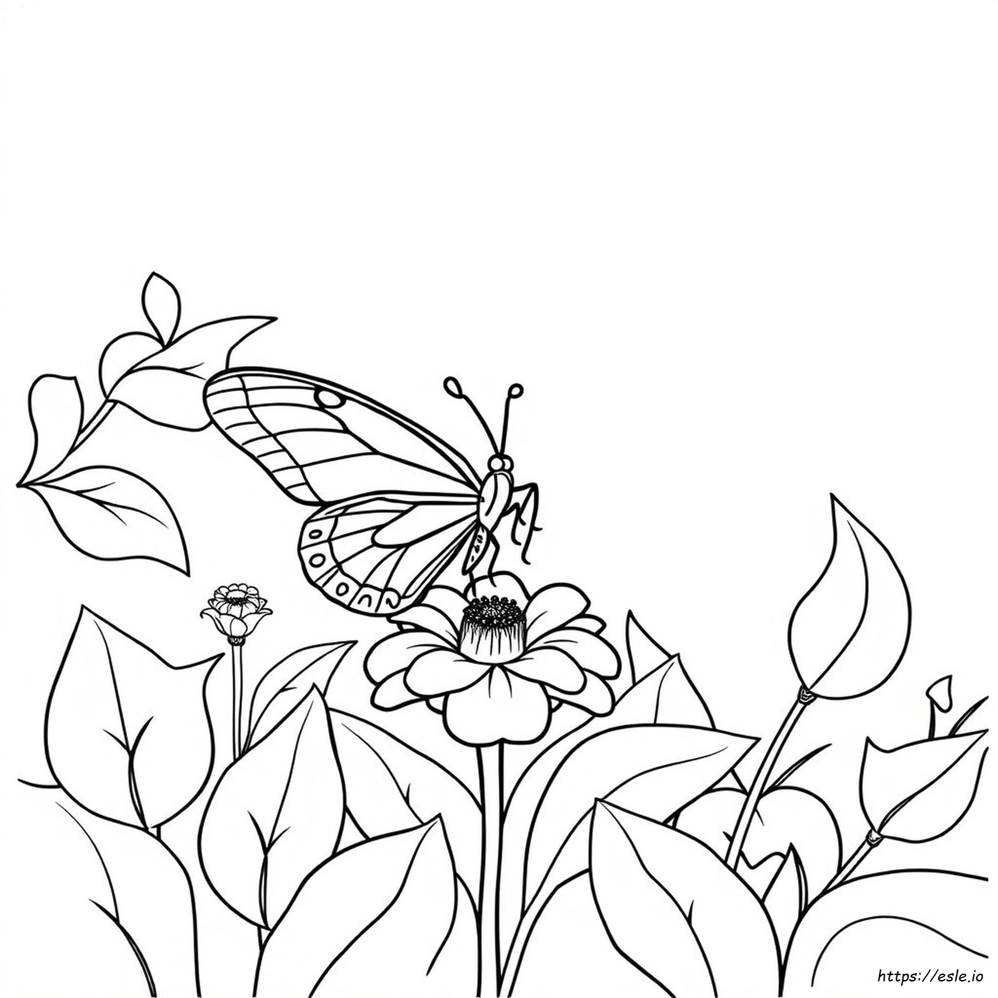 Butterfly Coloring Pages Printable Pdf