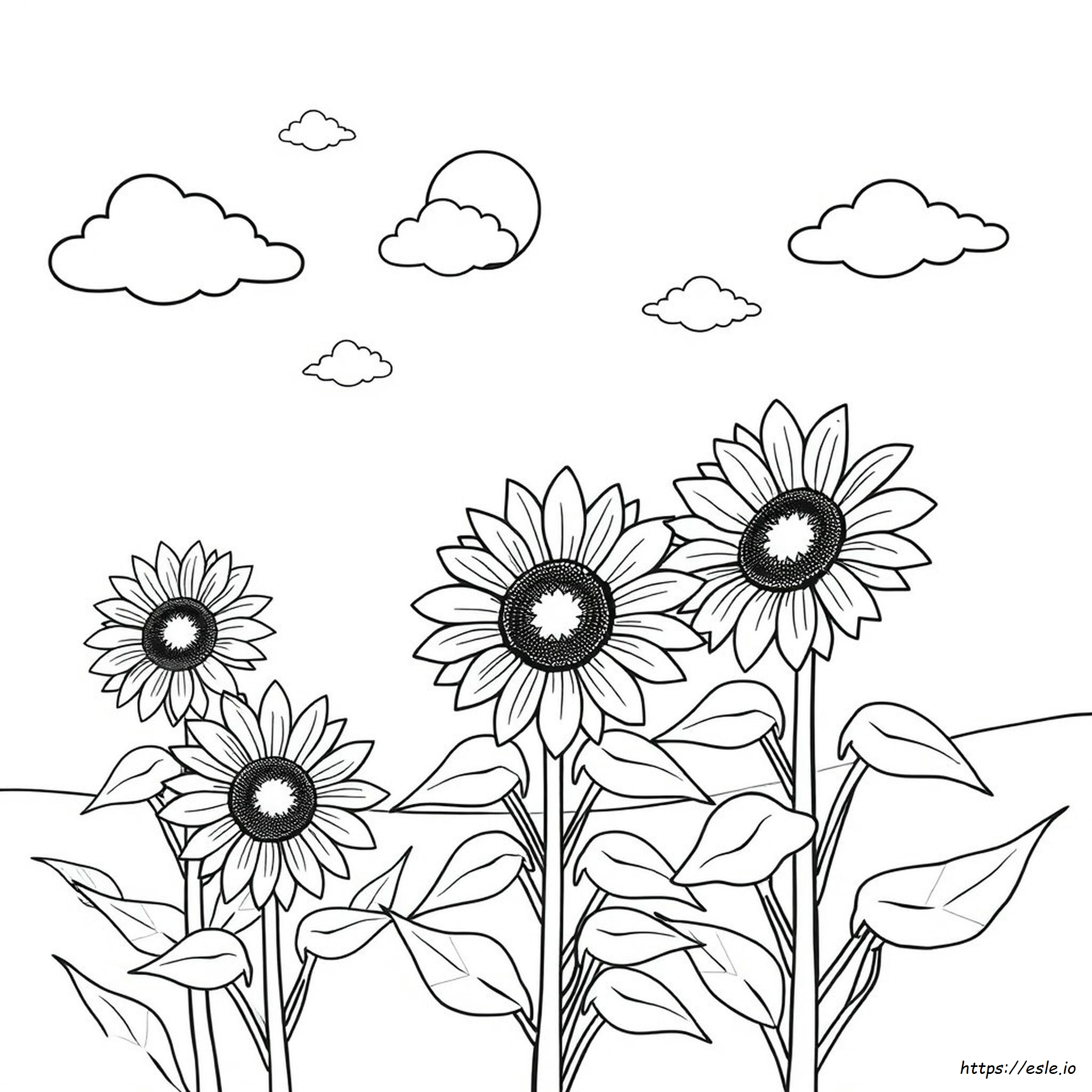 Summer Coloring Pages Print