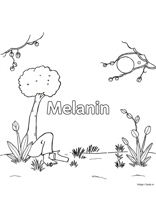 Czy Melanina To Kolor?
