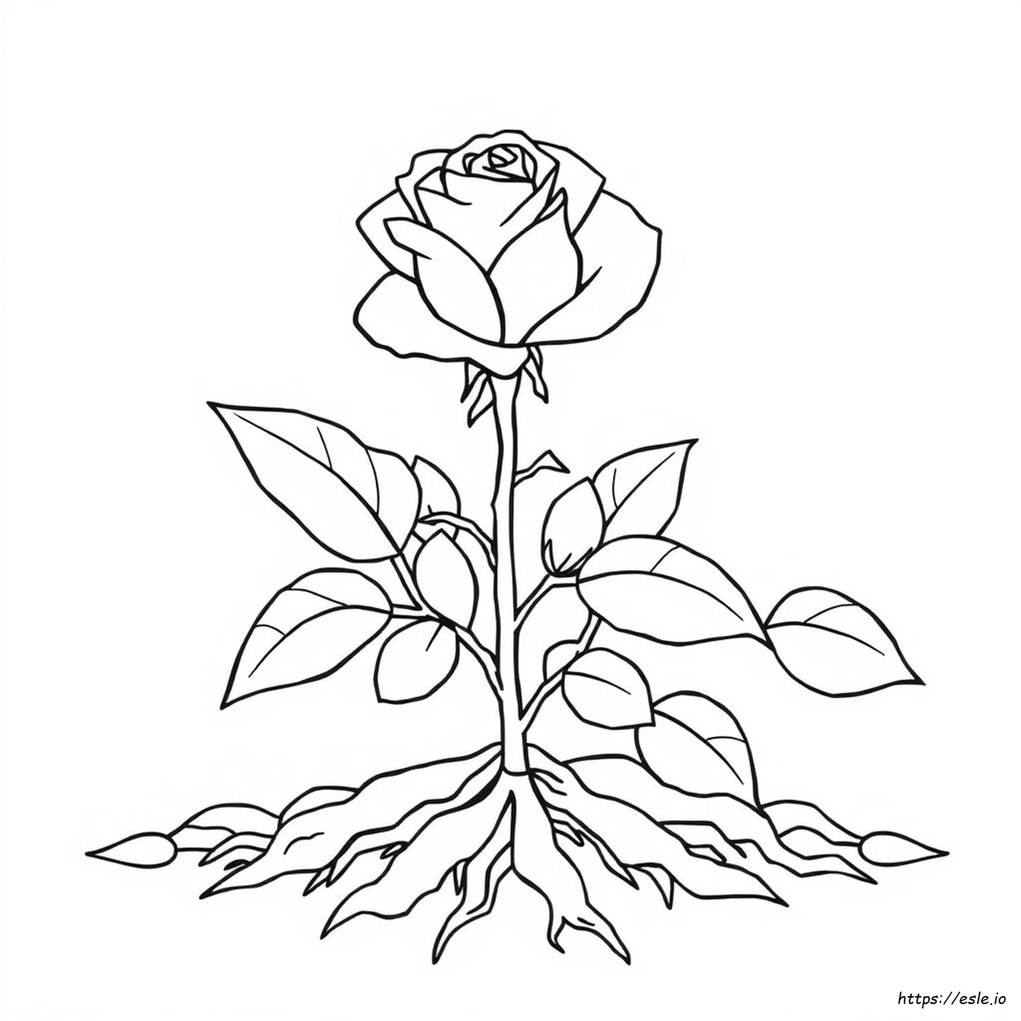Rose Coloring Pages Pdf