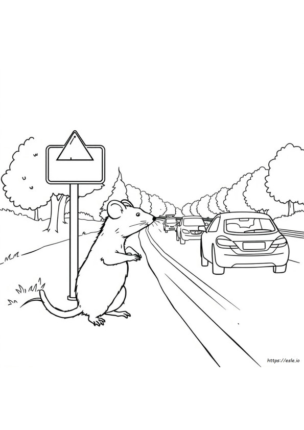 Șobolanul De Autostradă De Colorat