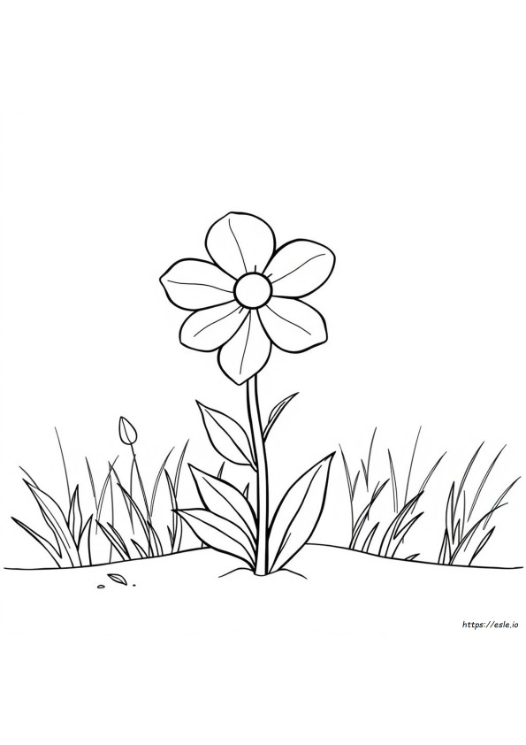 Fiore Da Colorare Disegni Facili Da Colorare