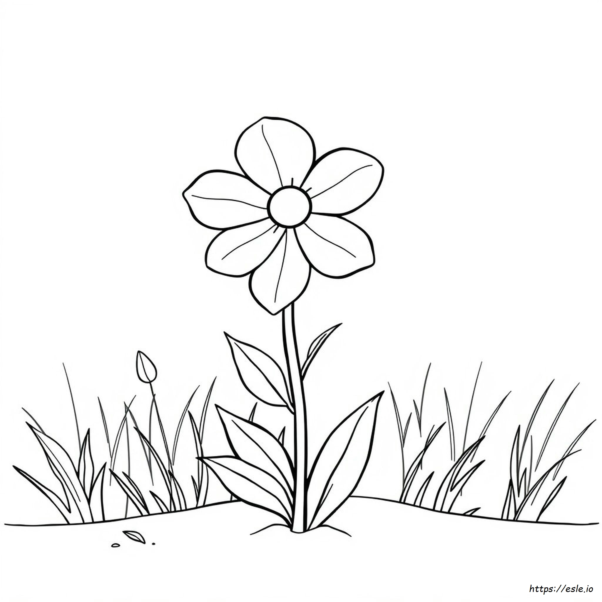 Eenvoudige Bloem Kleurplaat Tekening Kleurplaten kleurplaat