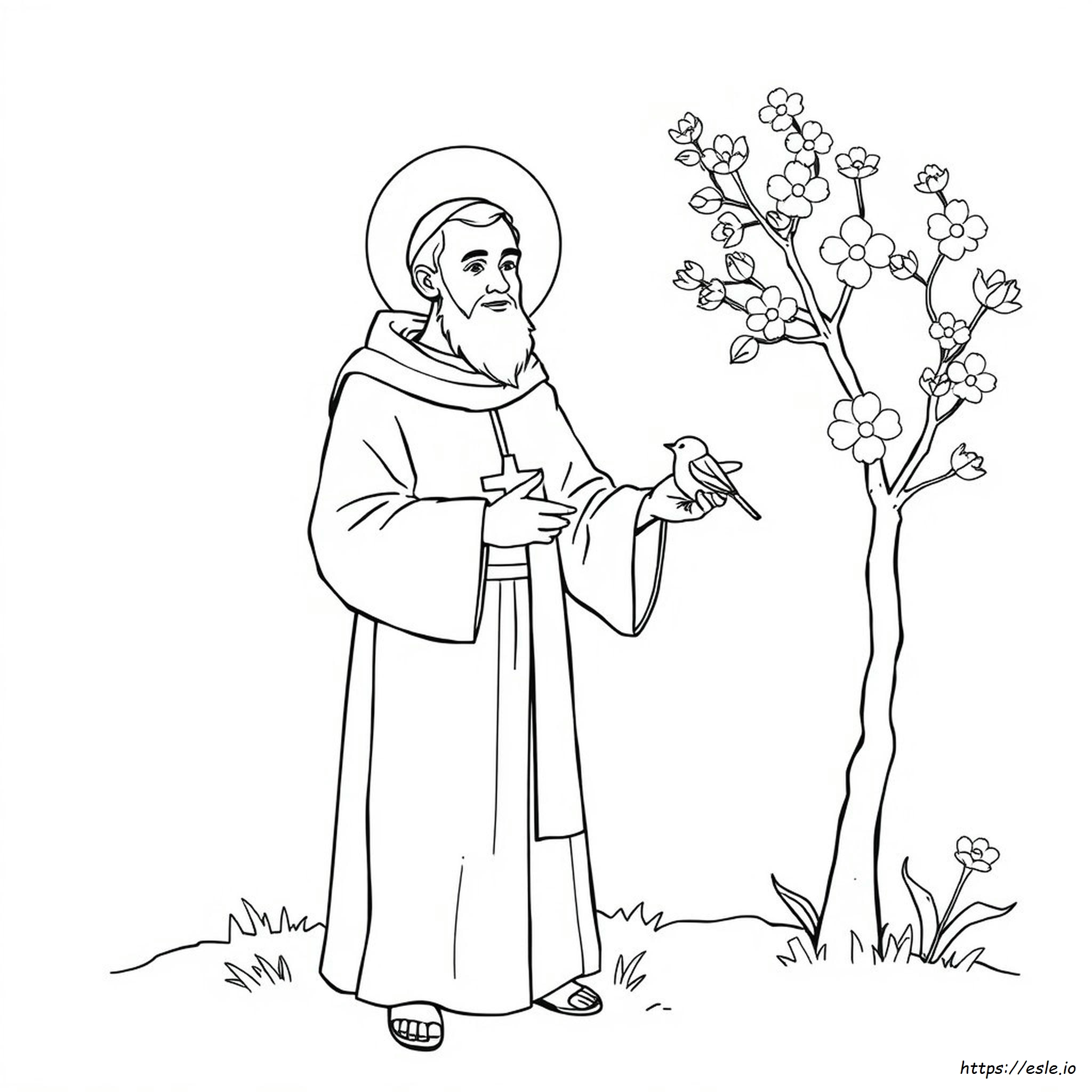Sint Franciscus Kleurplaat kleurplaat