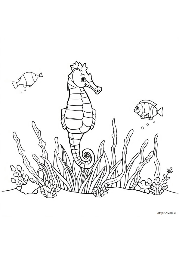 Sea Horse Colouring Images
