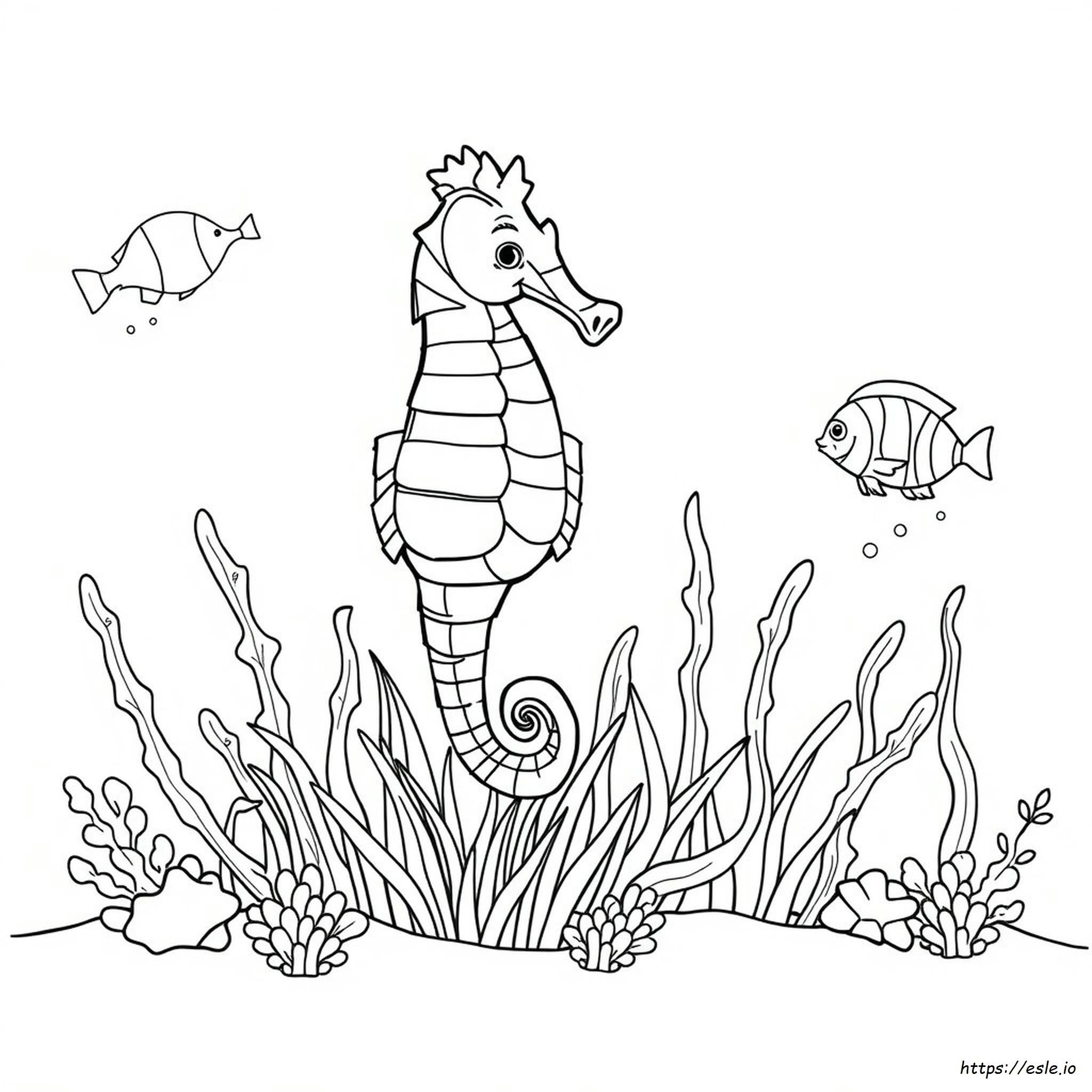 Sea Horse Colouring Images