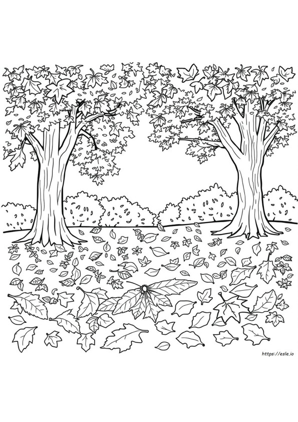 Free Printable Fall Leaf Coloring Pages