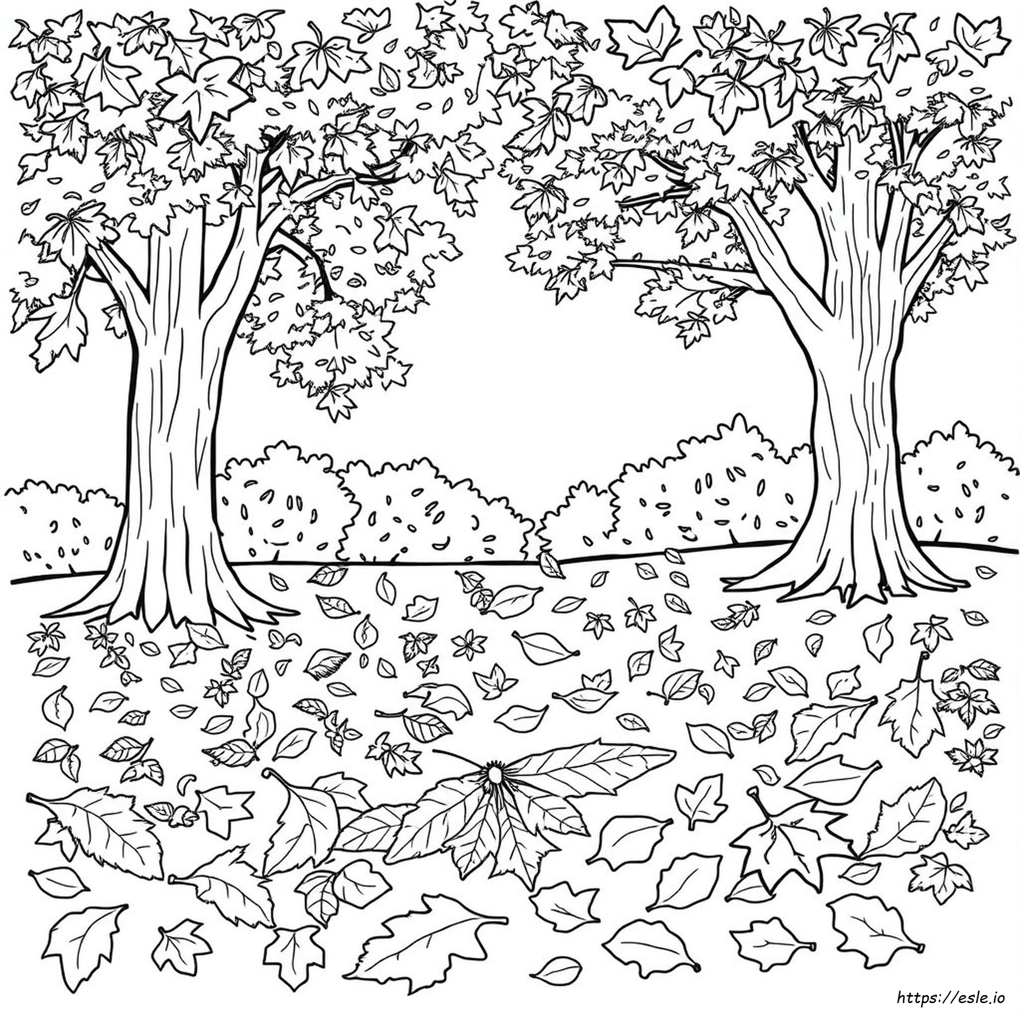 Free Printable Fall Leaf Coloring Pages