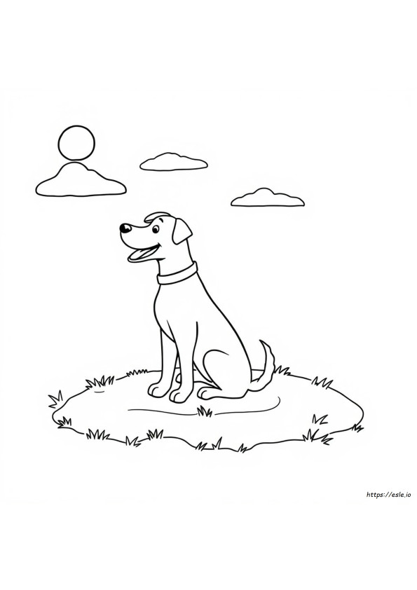 Köpekler Için Boyama Kitabı Sayfaları