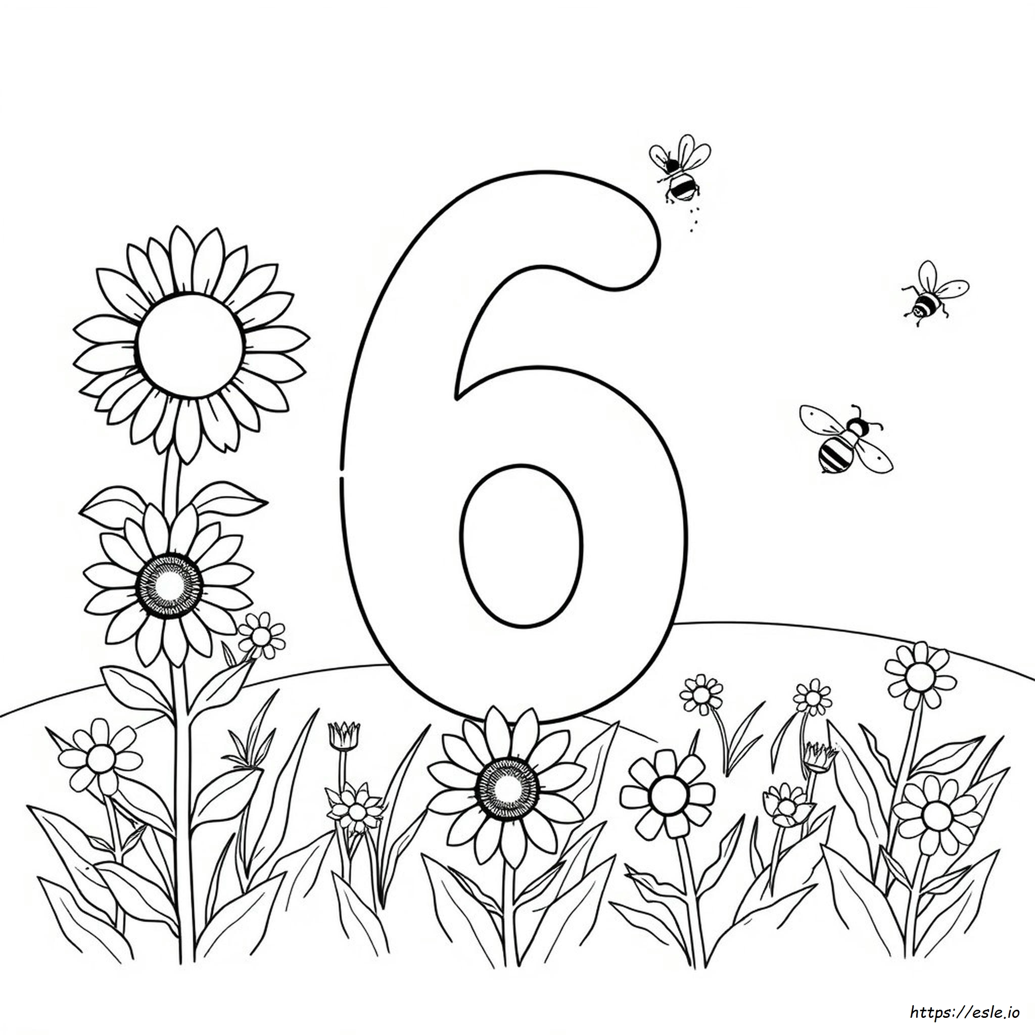 Worksheet Preschool Number 6 Coloring Page