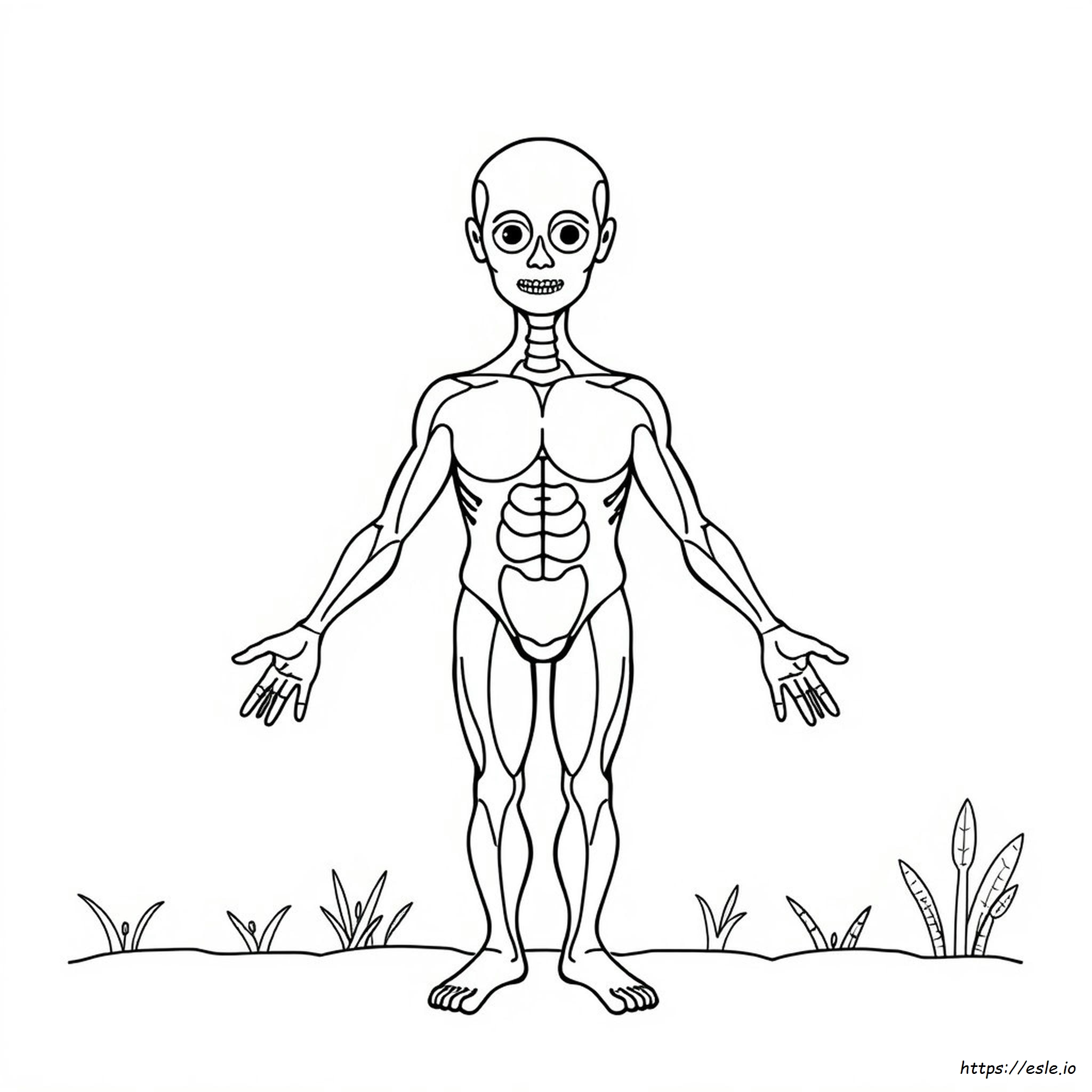 Body Anatomy Coloring Pages