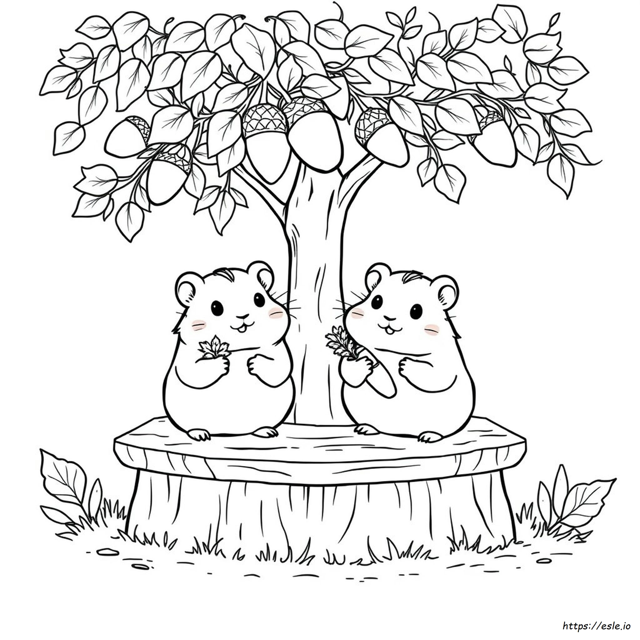 Coloring Pages Of Cute Hamsters