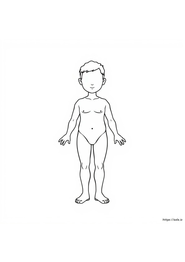 体の塗り絵