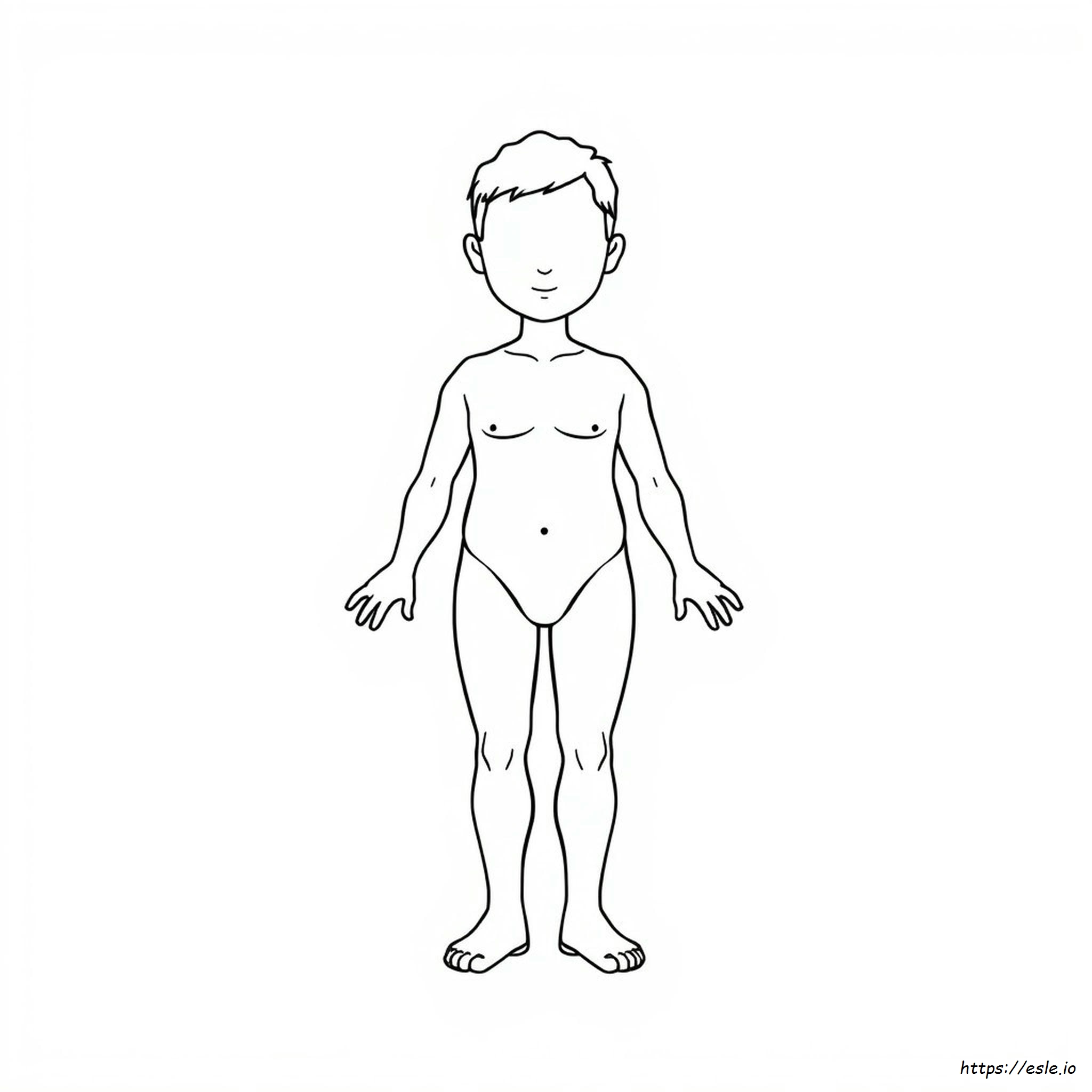 Body Colouring Page