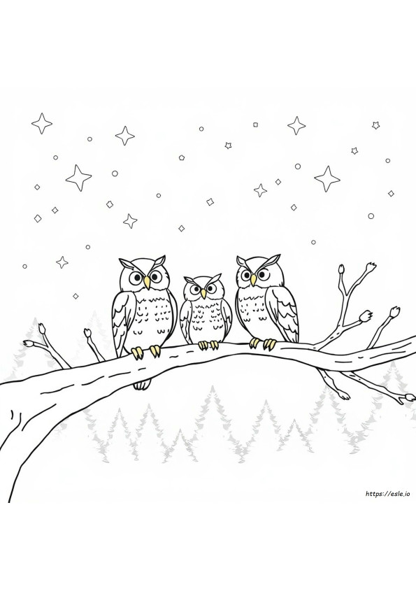 Adult Coloring Pages Of Owls