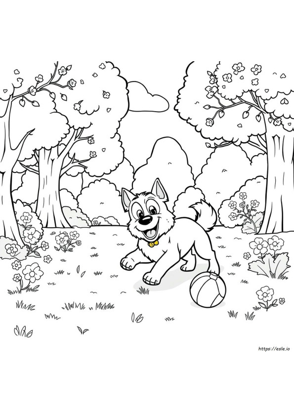 Woofster Kolorowanki