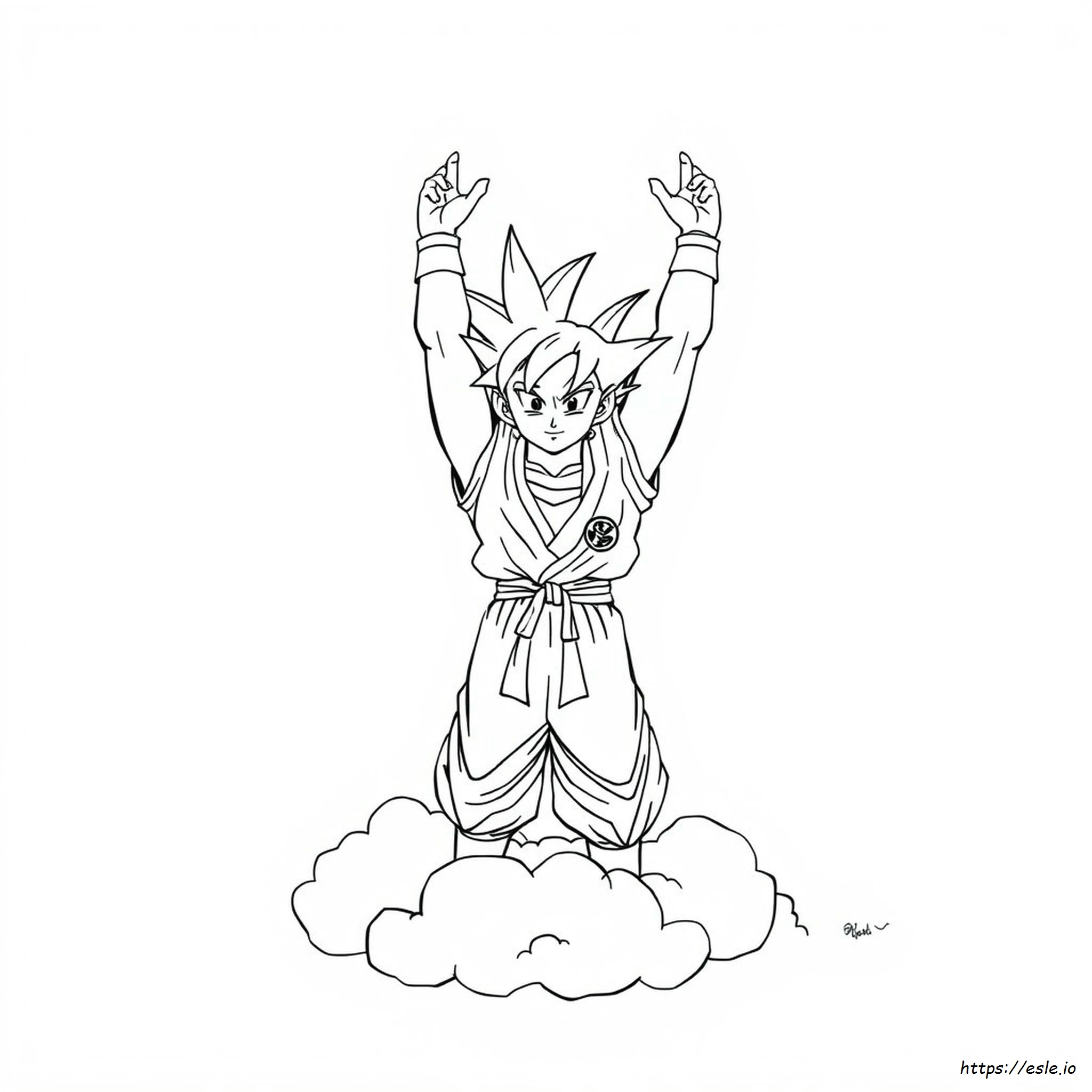 Colo<R>Iage Goku