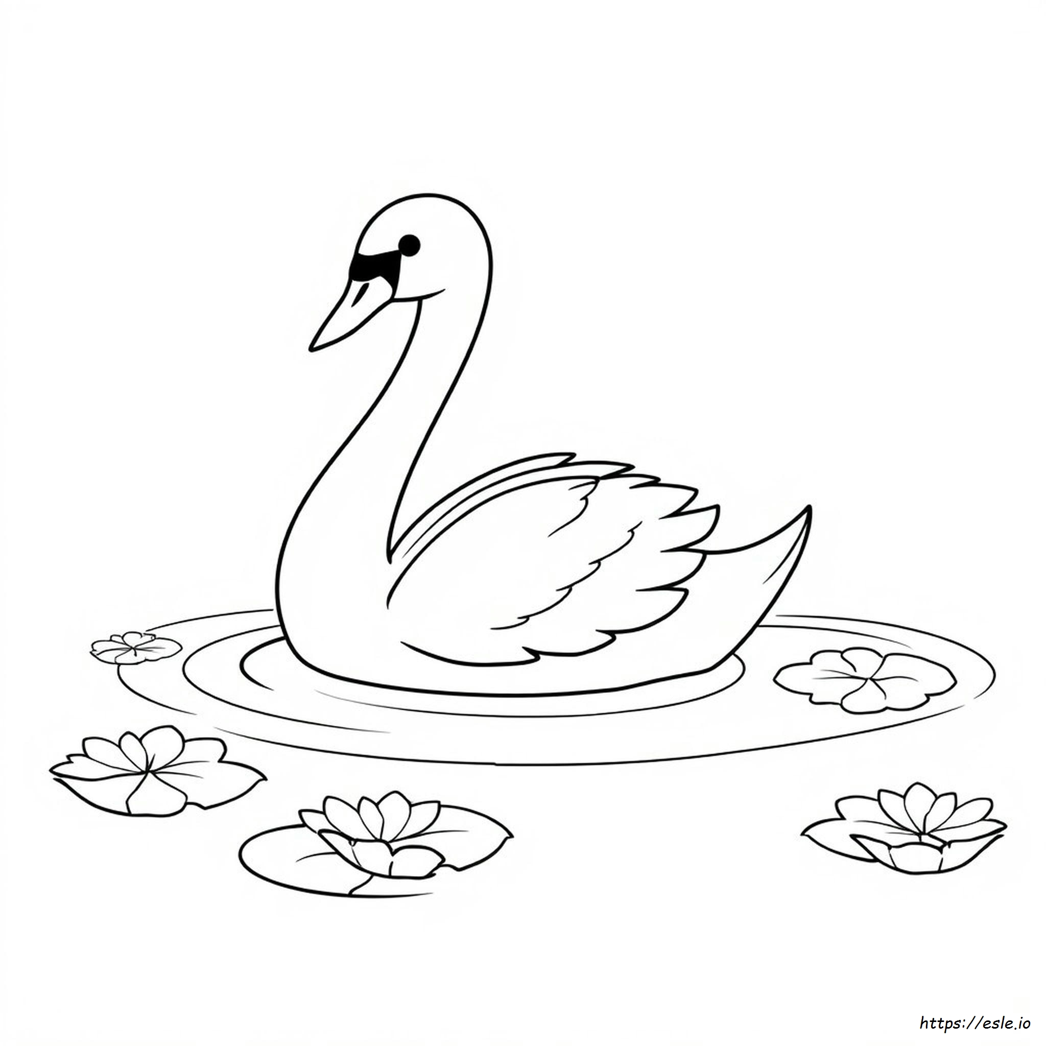 Swan Colouring Pictures