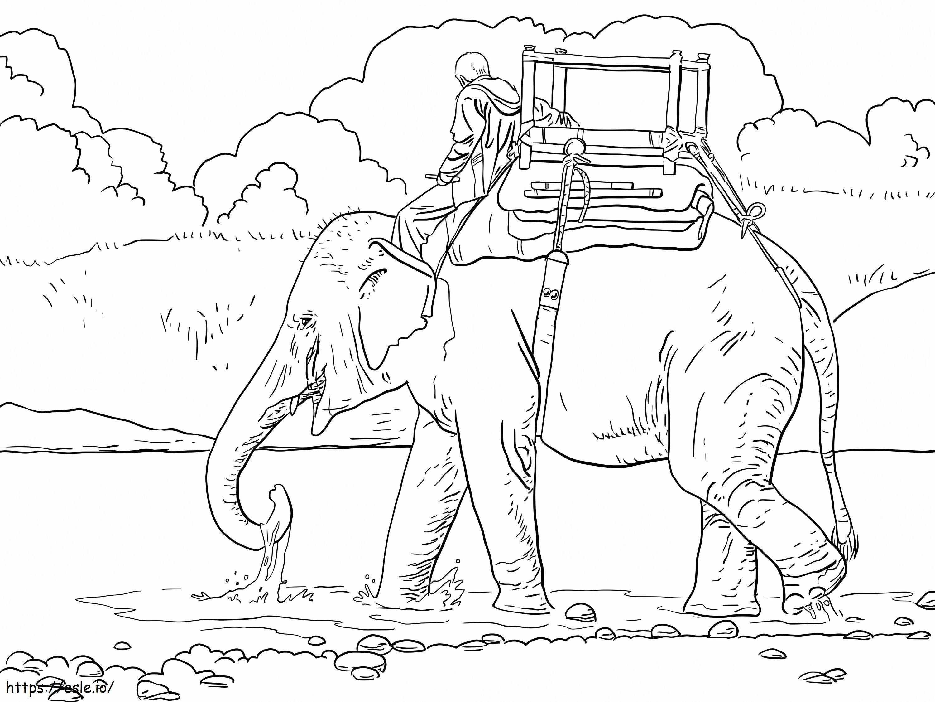Coloriage Éléphant d'équitation à imprimer dessin