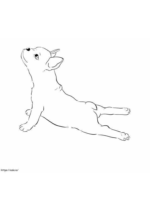 Coloriage Bulldog français à imprimer dessin