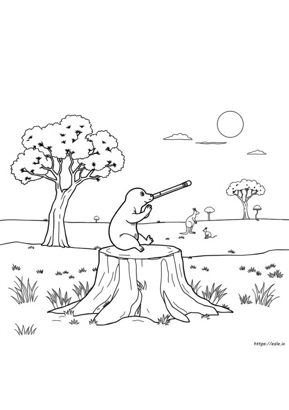 Kolorowanka Didgeridoo