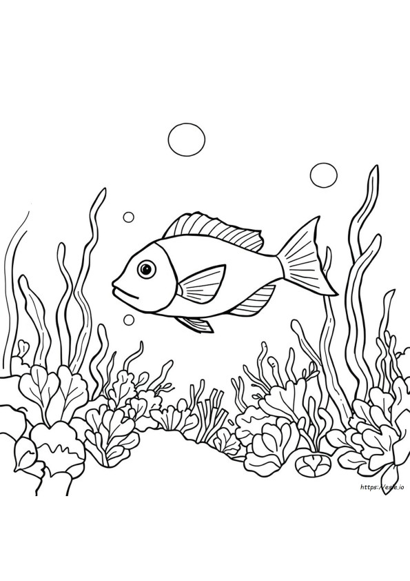 Värityskuvat Peixe Para Colorir (Latinaa)