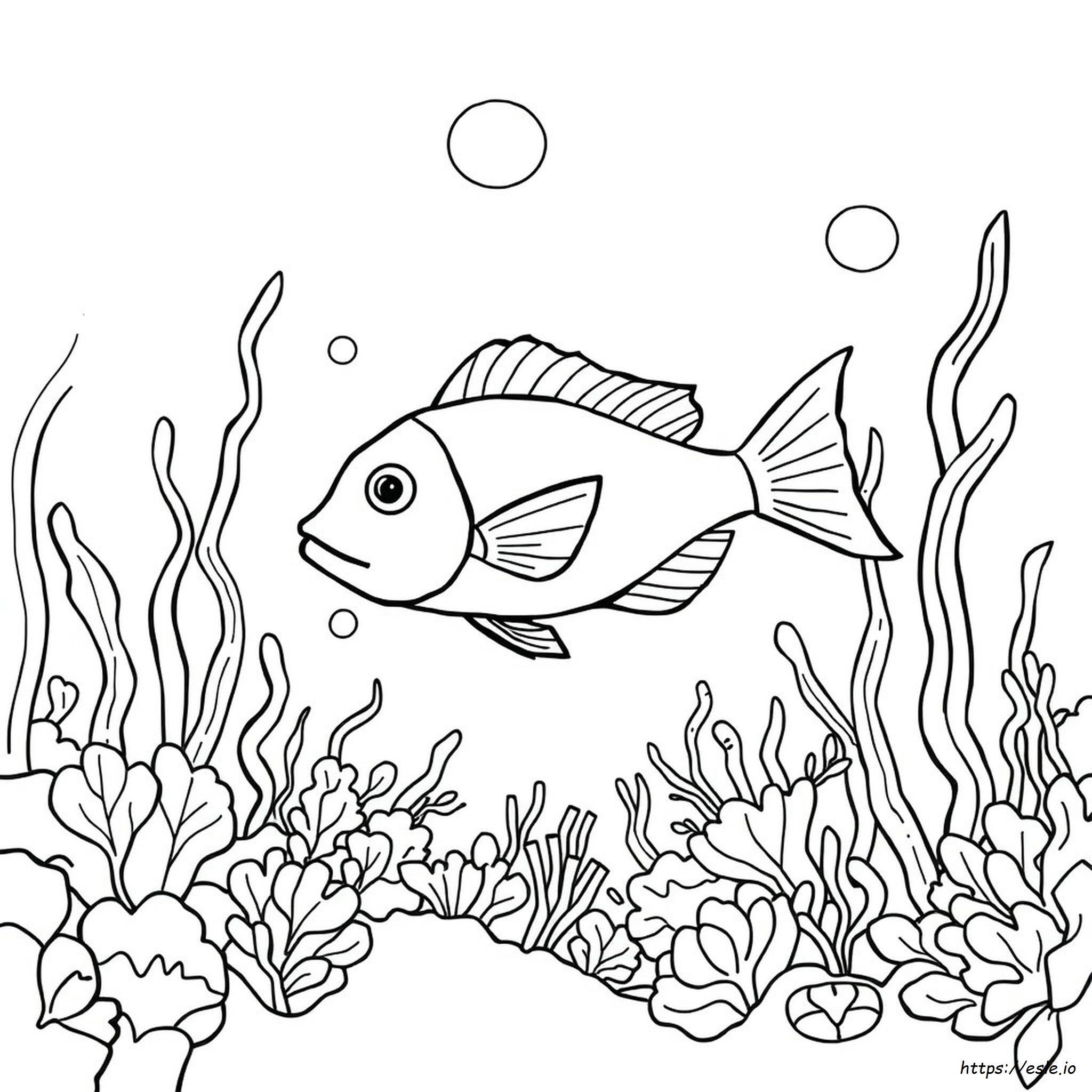 Pagina Da Colorare Peixe Para Colorir