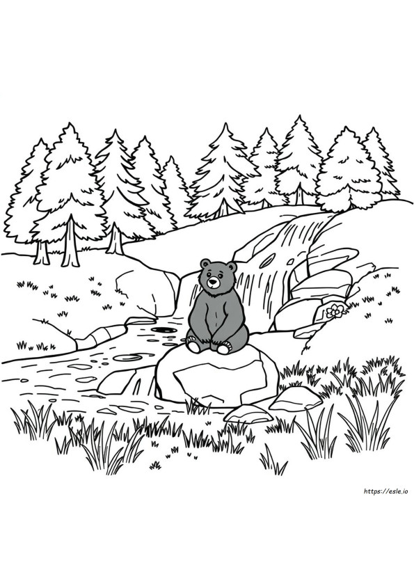 Schwarzbär Ausmalbild