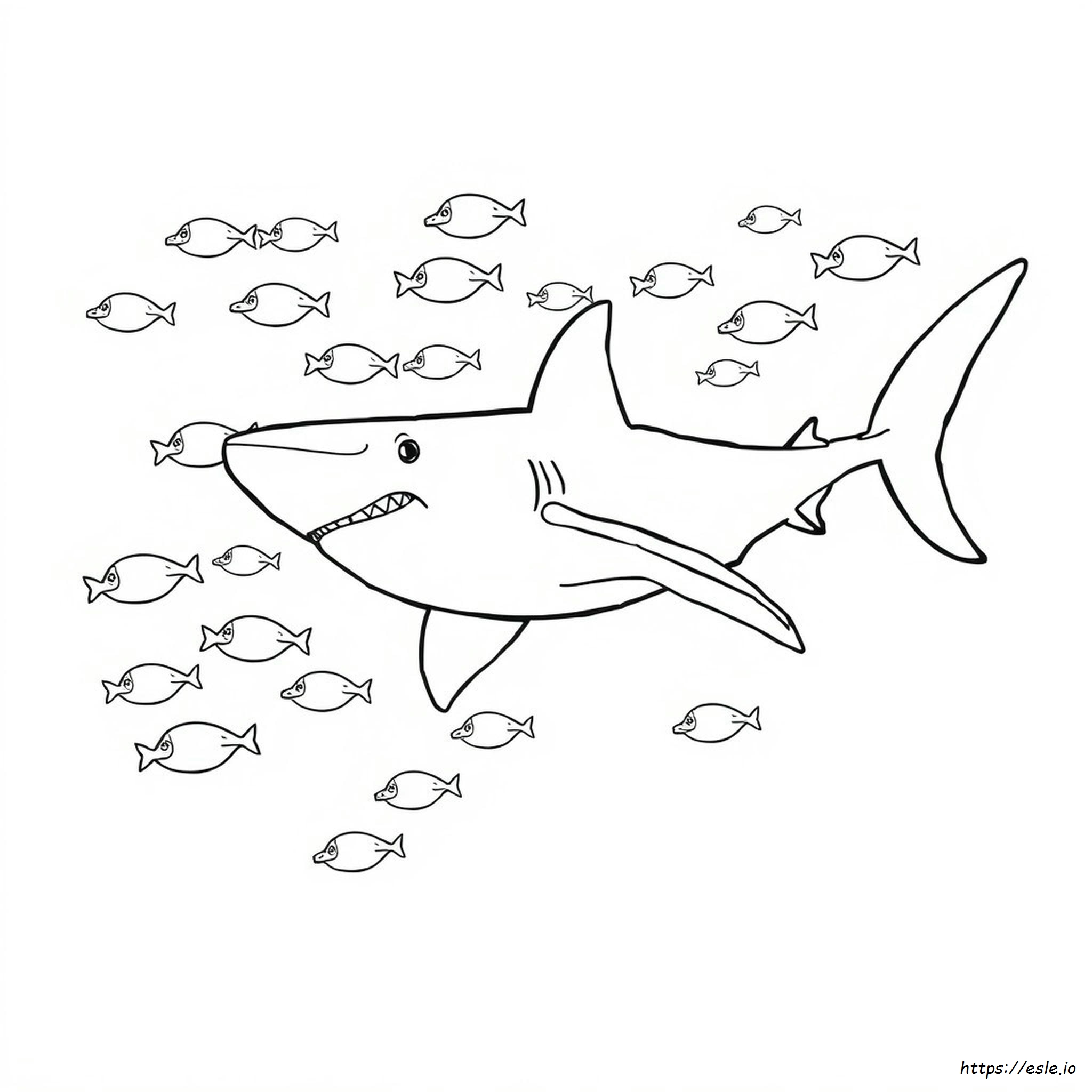 Coloring Pages Of Sharks Printable