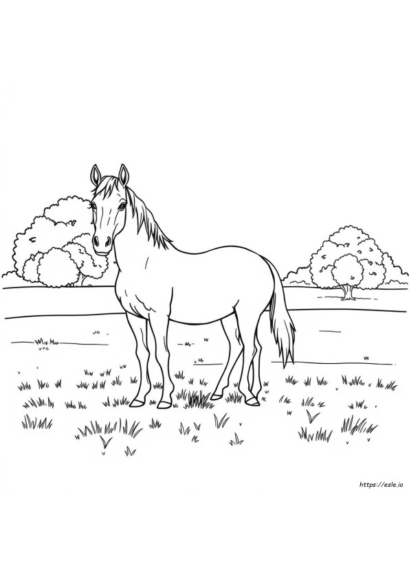 Realistic Horse Colouring Pages