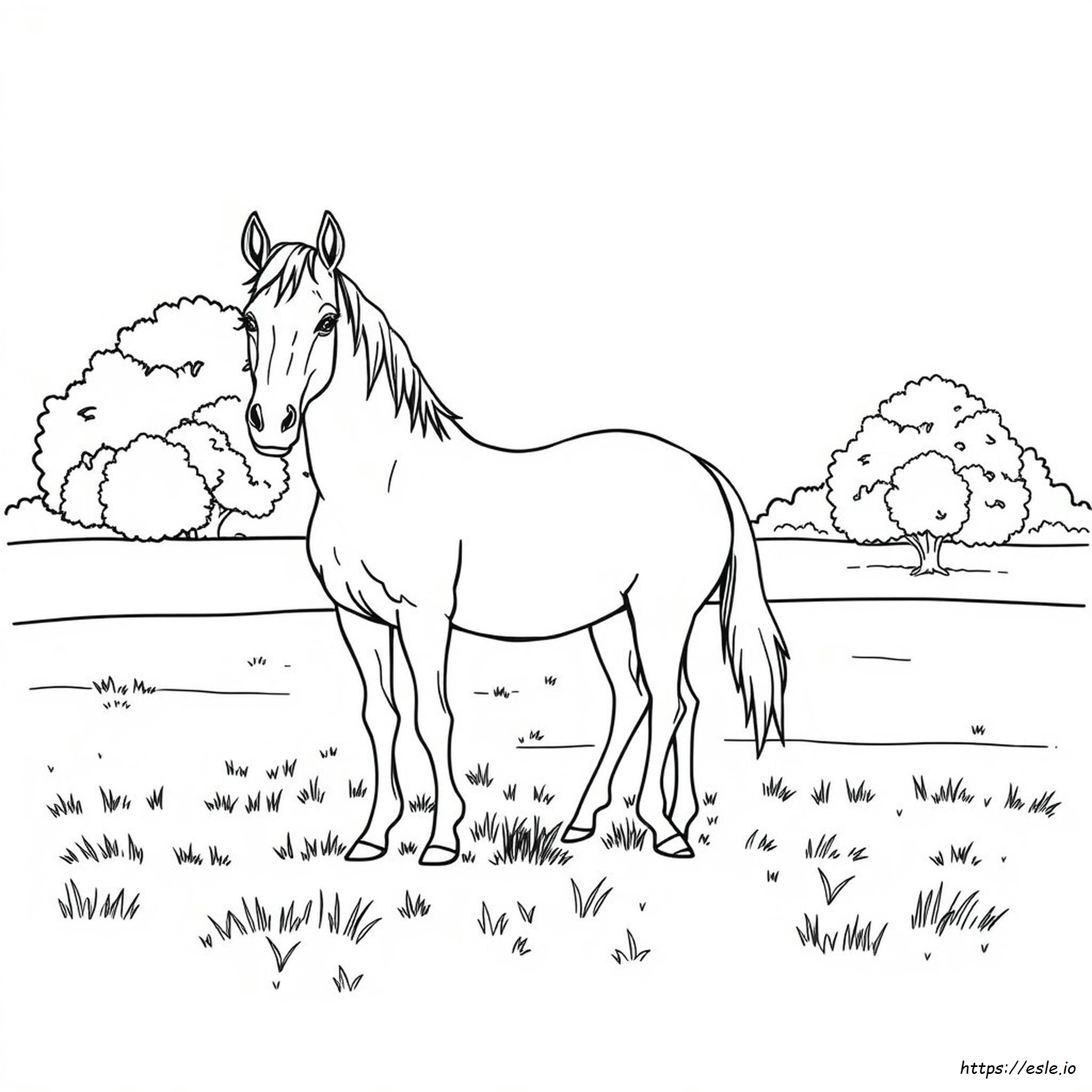 Realistic Horse Colouring Pages