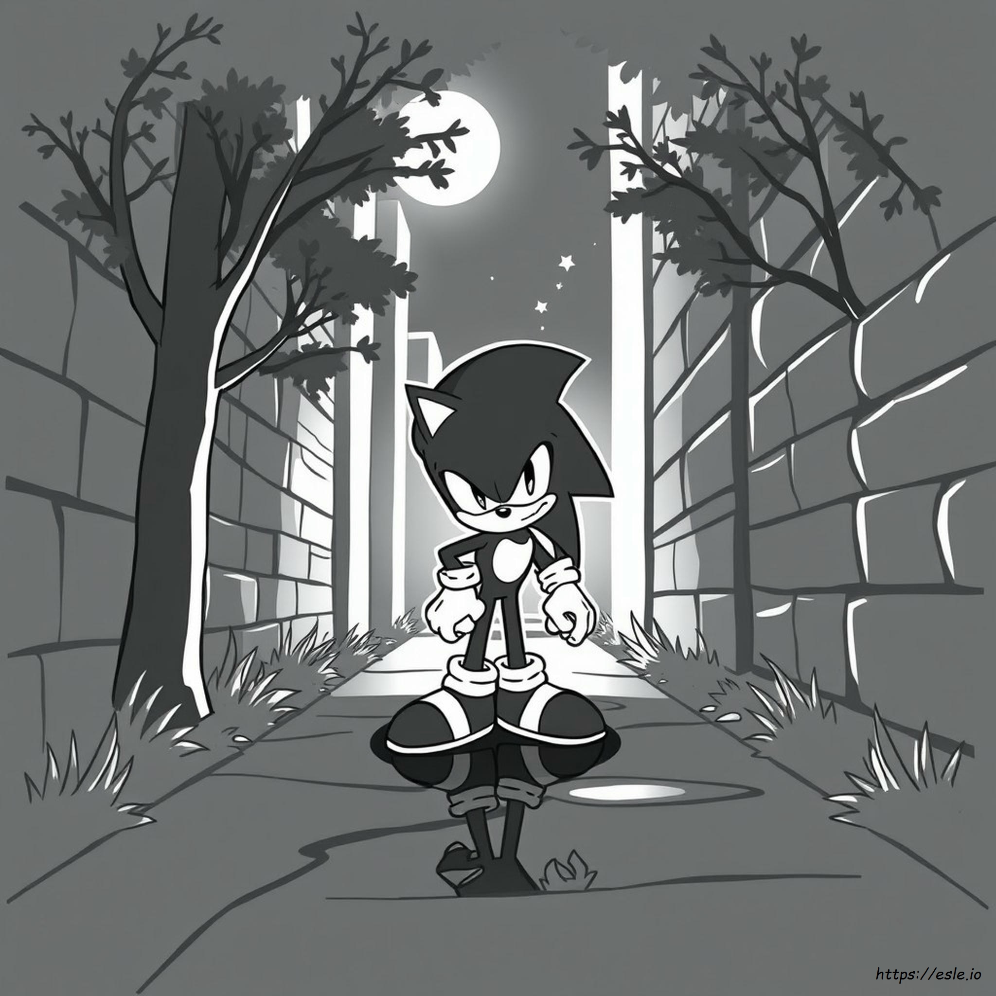 Shadow Dark Sonic Ausmalbilder