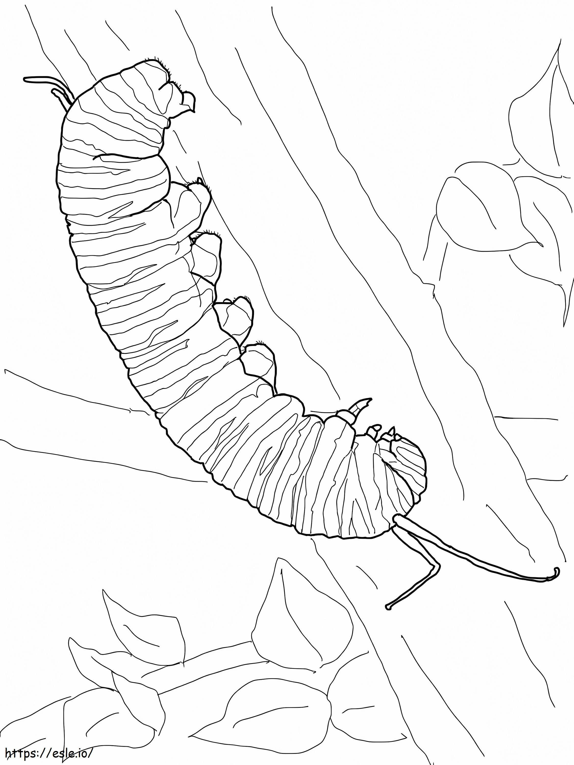 Ewwwg coloring page