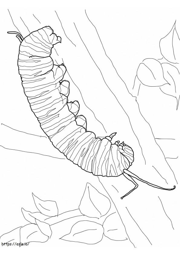 Ewwwg coloring page
