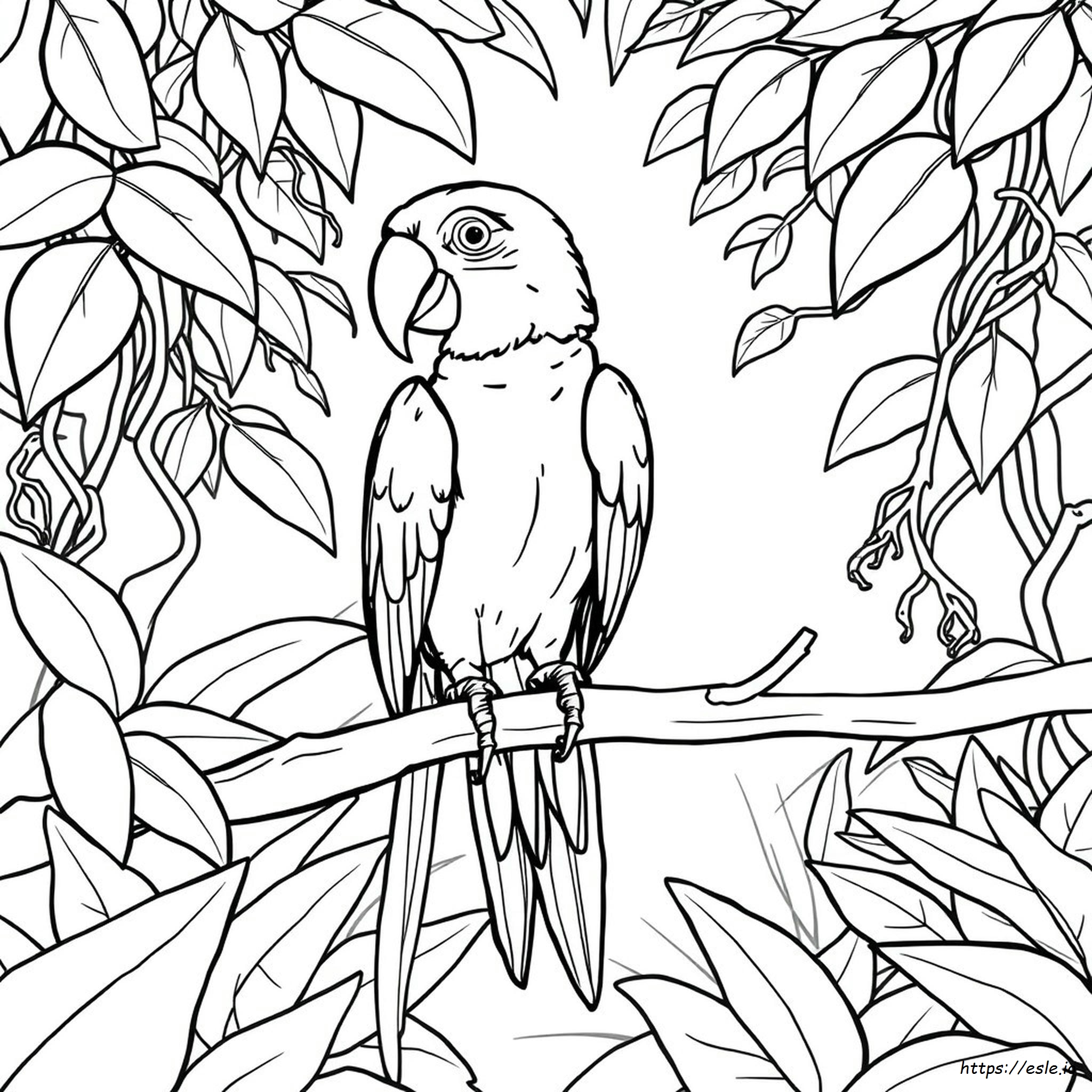 Macaw Parrot Coloring Page