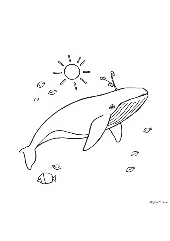 Blue Whale Coloring Pages Printable