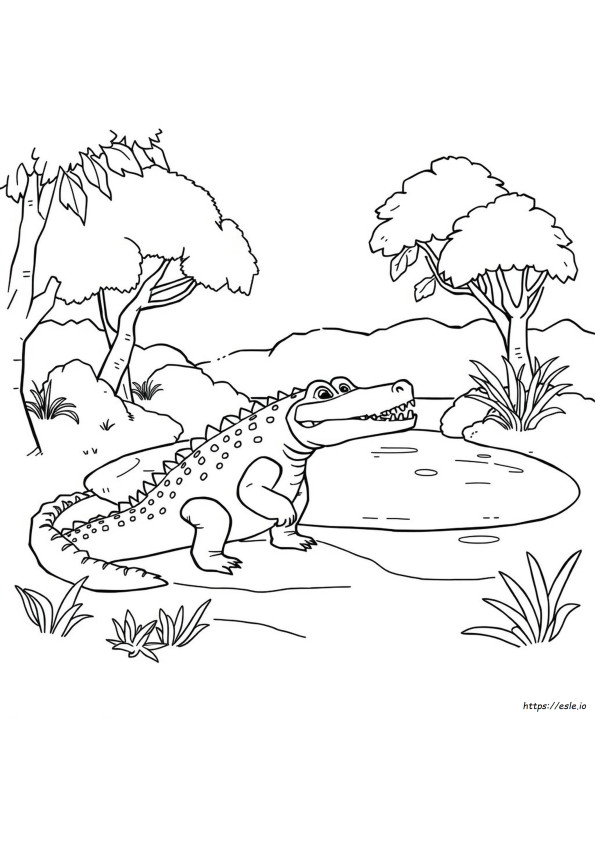 Krokodil Színező