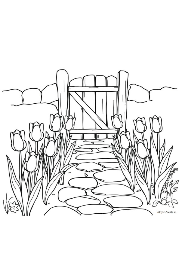 Coloriage Tulipe