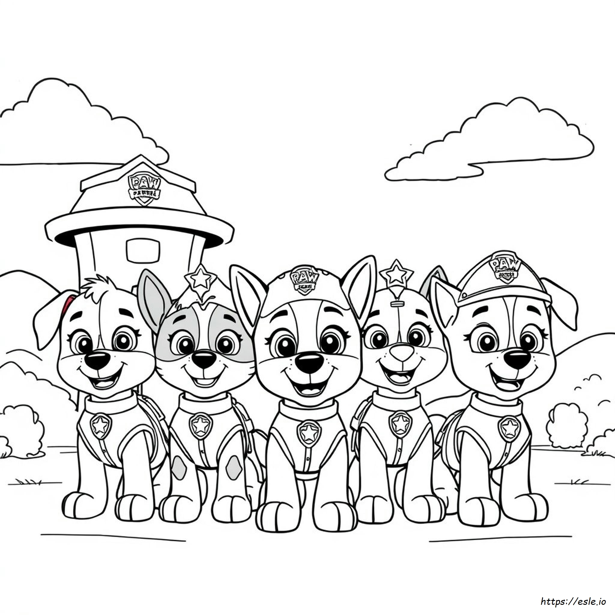 Fețe Paw Patrol De Colorat