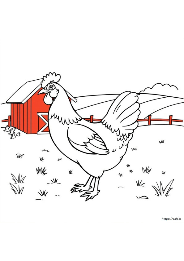 Hen Picture For Colouring