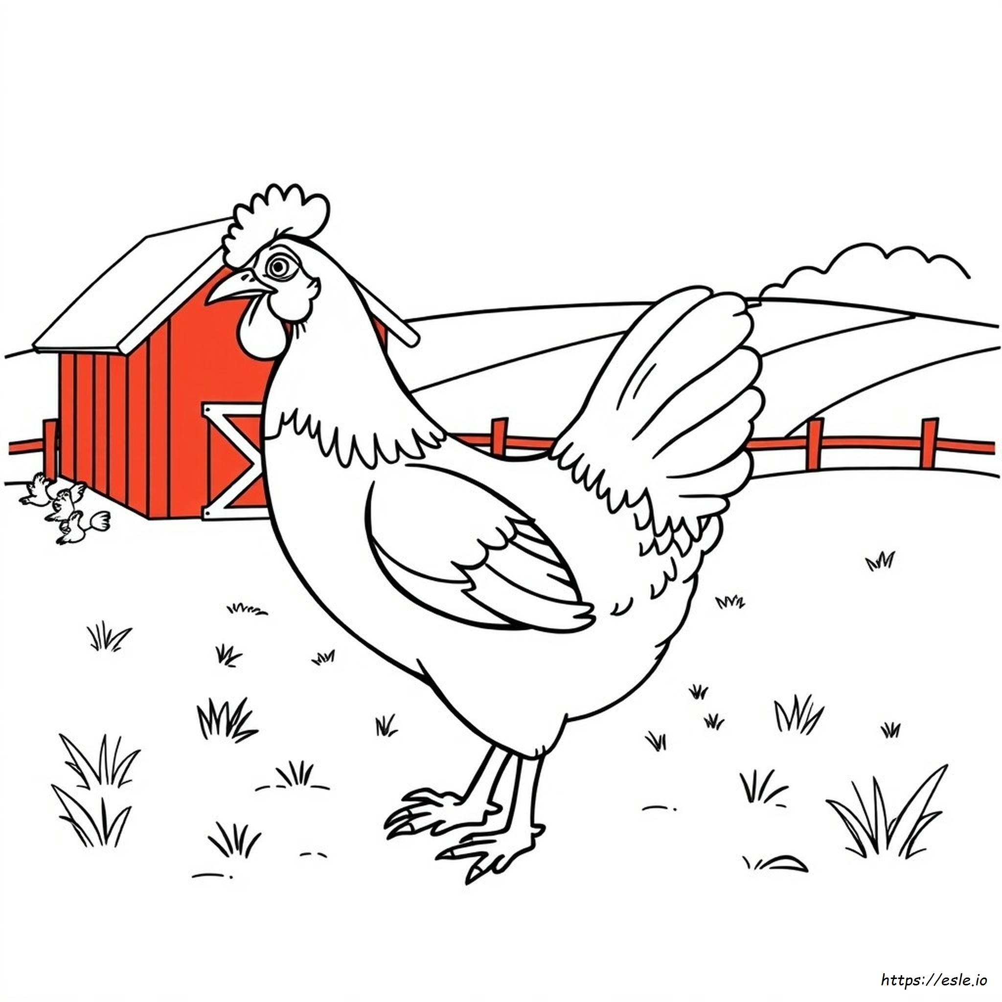 Hen Picture For Colouring